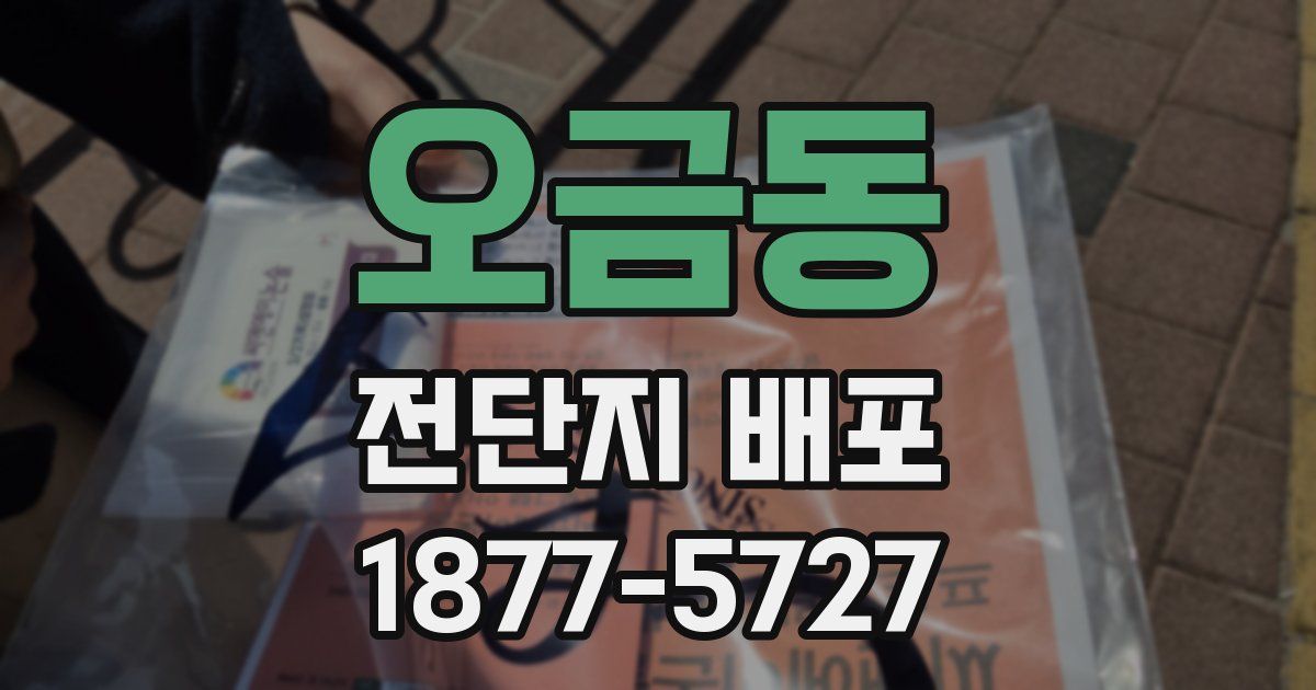 오금동 전단지 배포