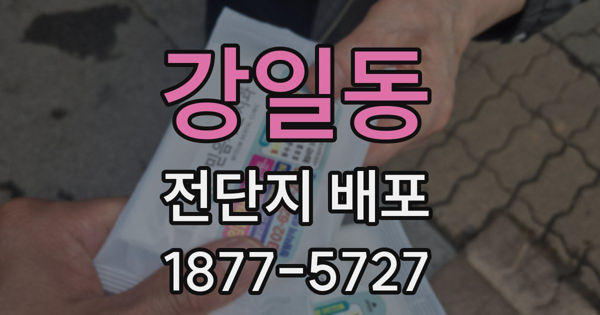 강일동 전단지 배포