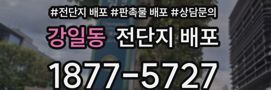 강일동 전단지 배포