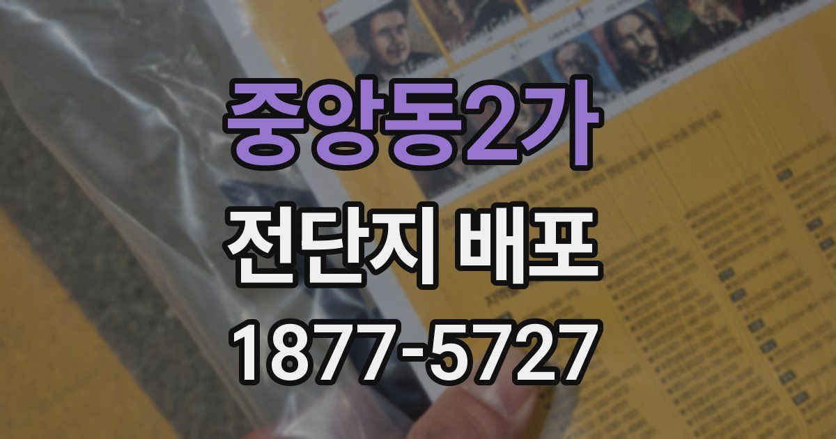 중앙동2가 전단지 배포