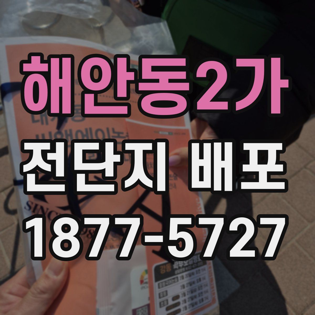해안동2가 전단지 배포