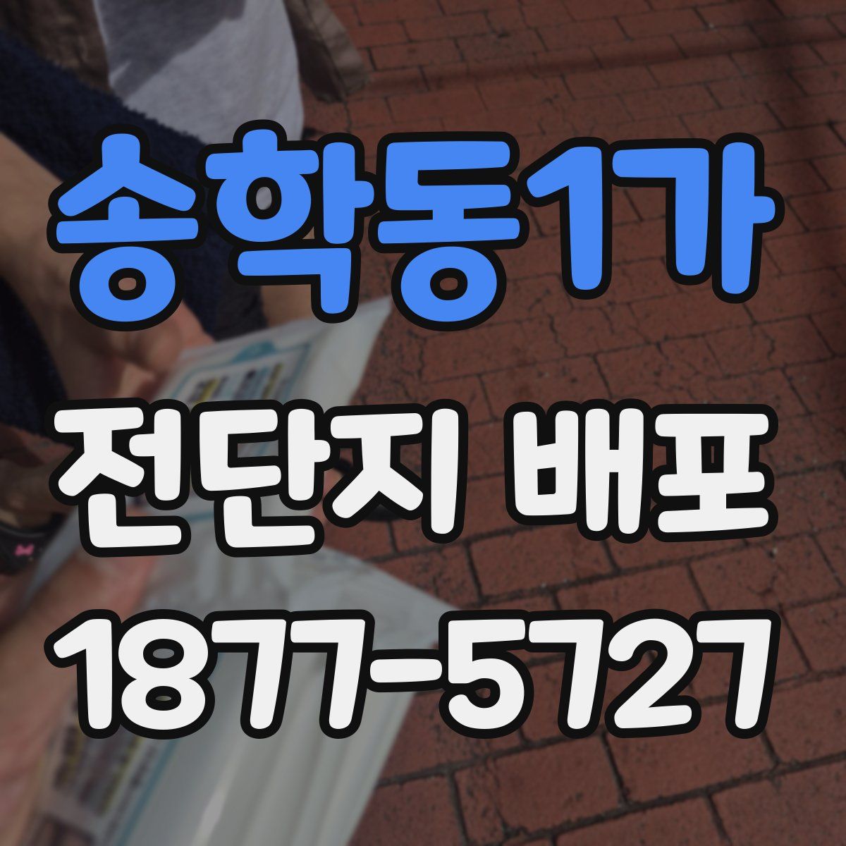송학동1가 전단지 배포