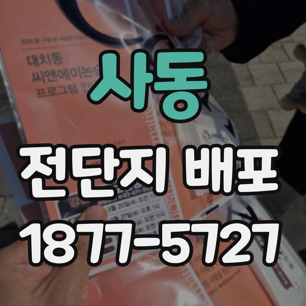 사동 전단지 배포