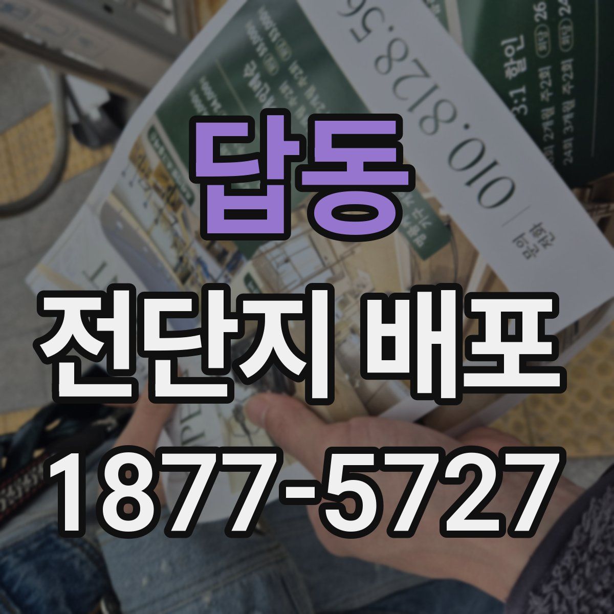 답동 전단지 배포