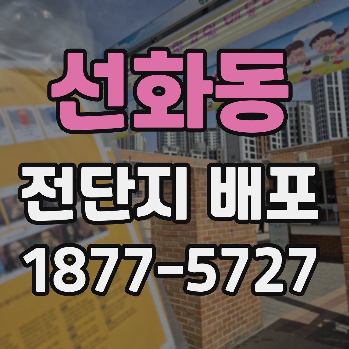 선화동 전단지 배포