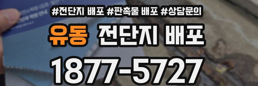 유동 전단지 배포