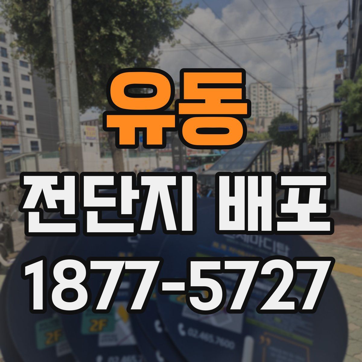 유동 전단지 배포