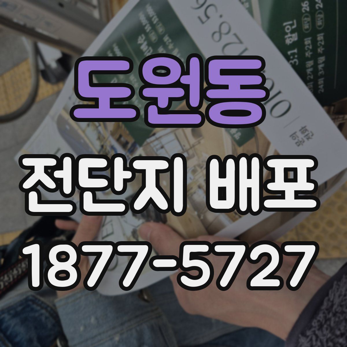 도원동 전단지 배포