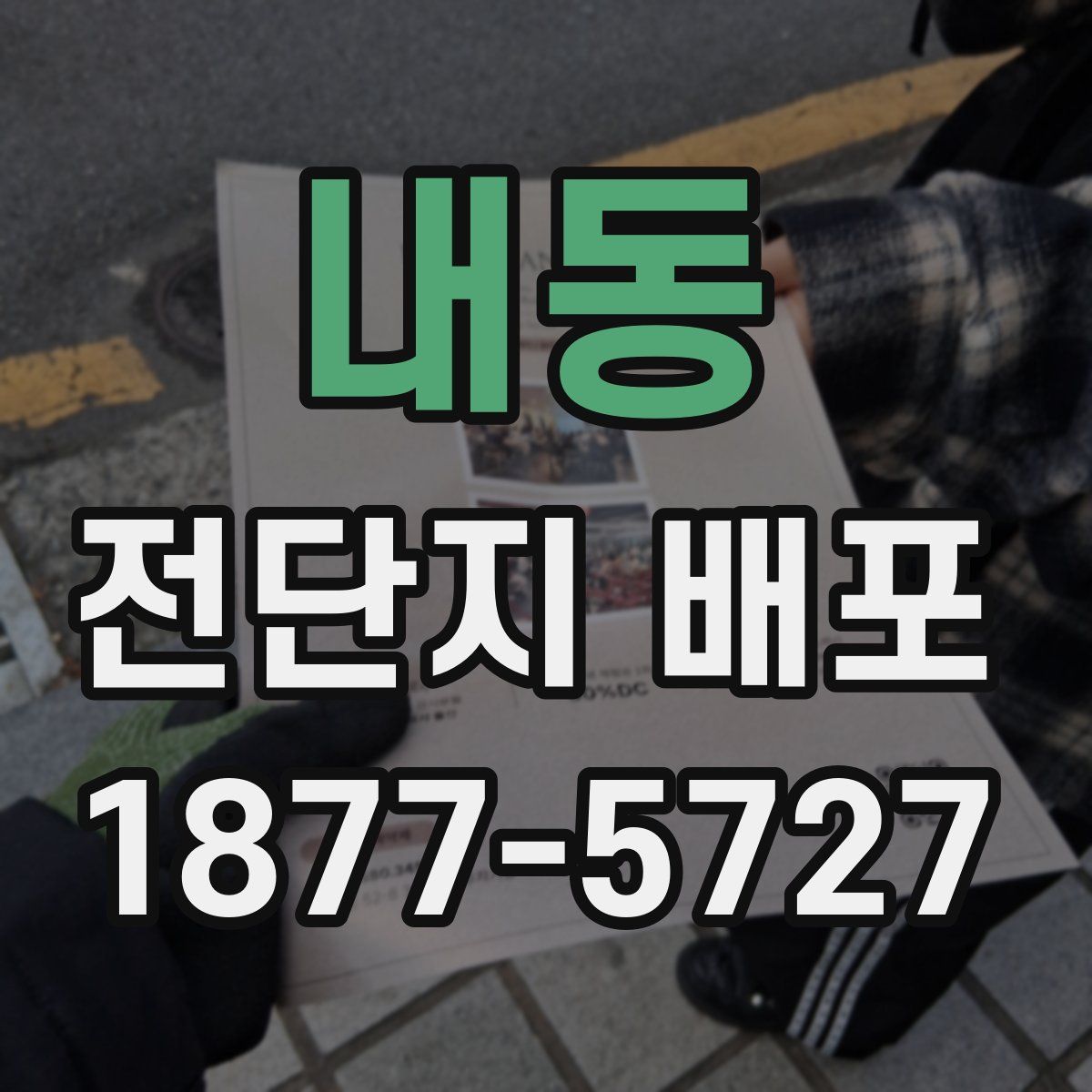 내동 전단지 배포