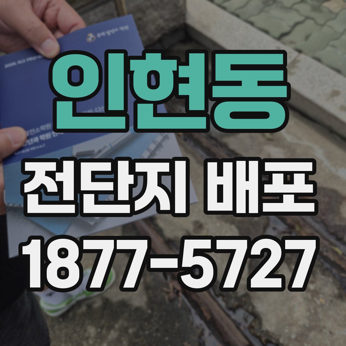 인현동 전단지 배포