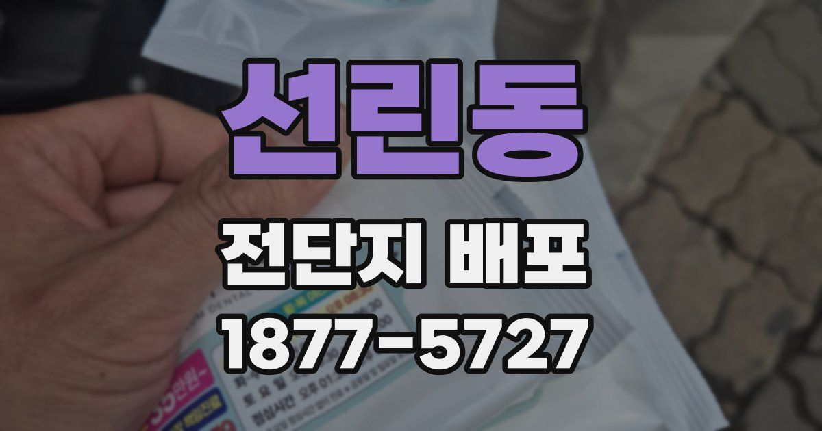 선린동 전단지 배포