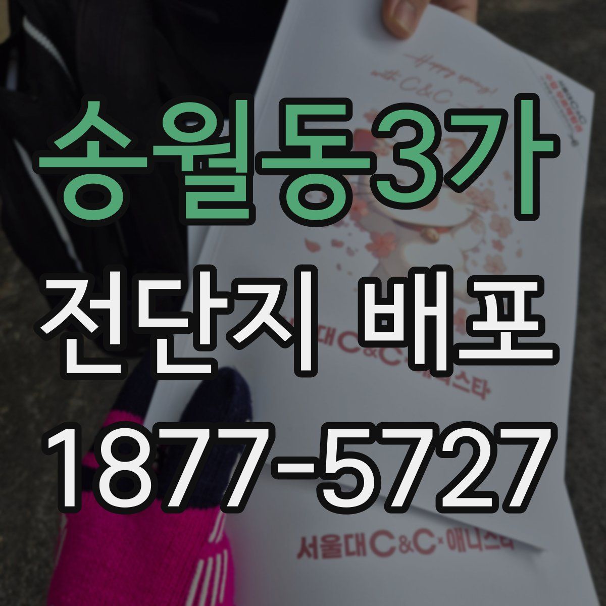 송월동3가 전단지 배포