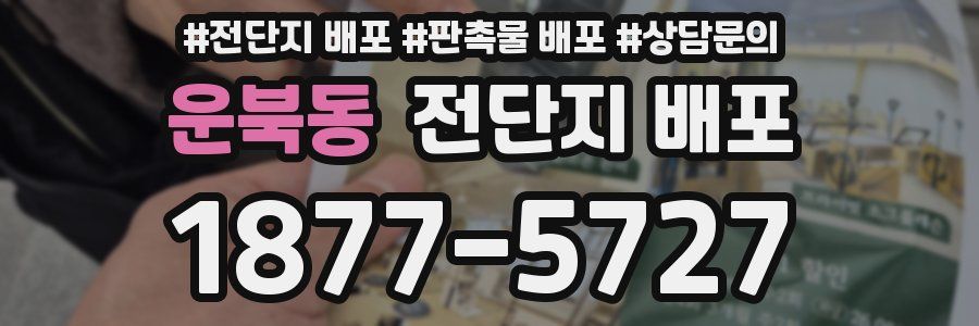 운북동 전단지 배포