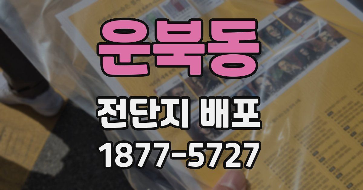 운북동 전단지 배포