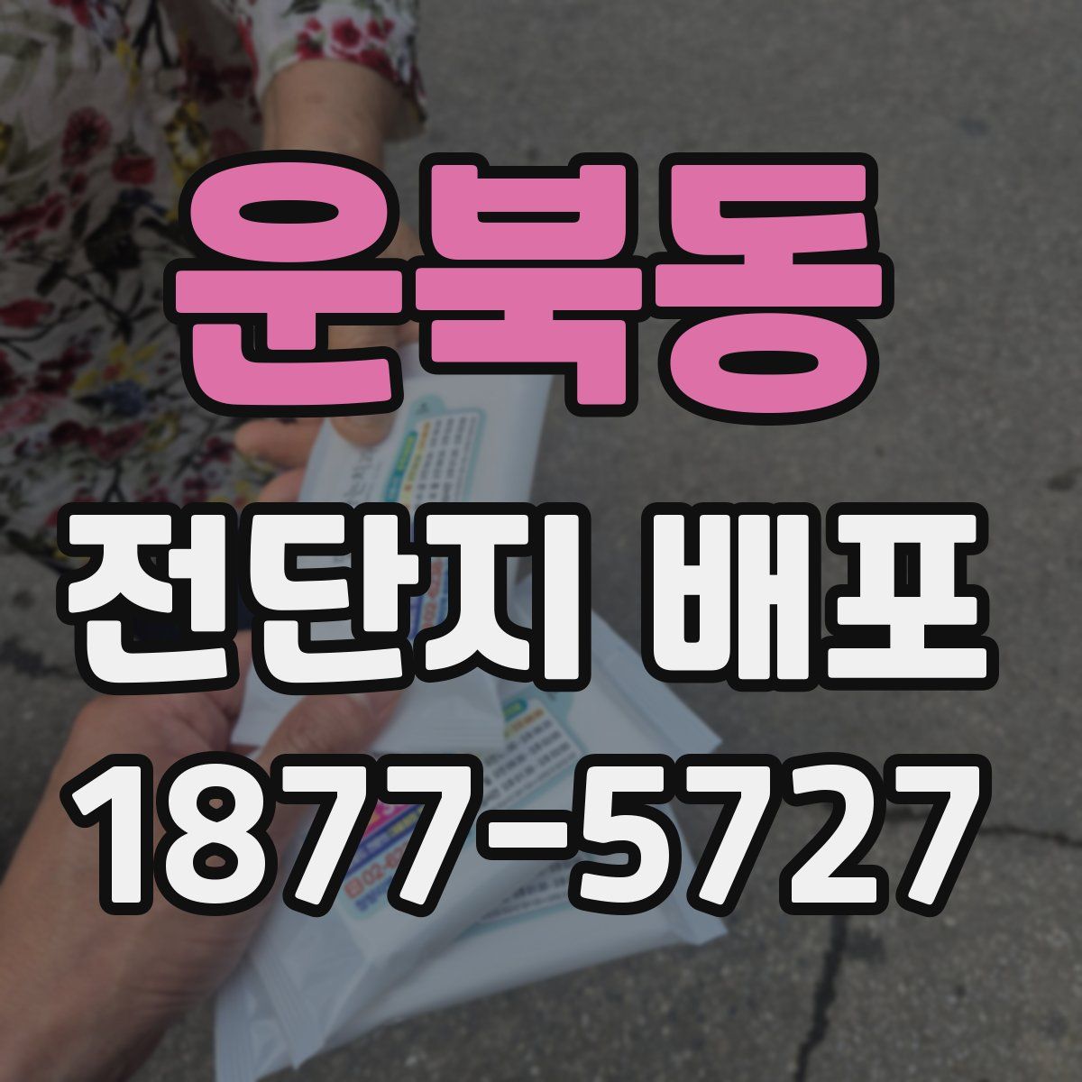 운북동 전단지 배포