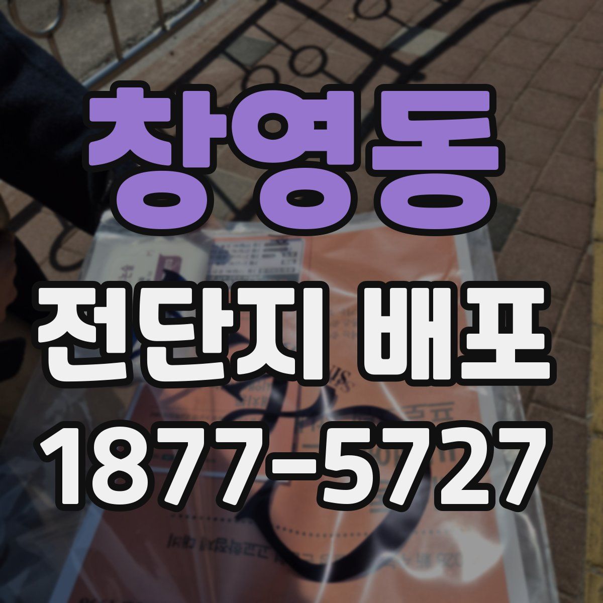 창영동 전단지 배포