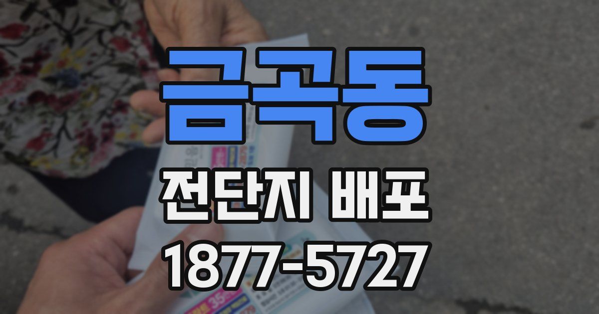 금곡동 전단지 배포