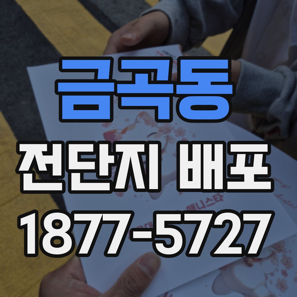 금곡동 전단지 배포