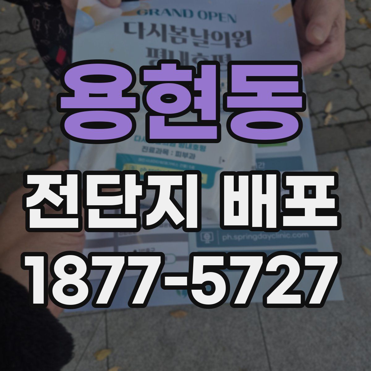 용현동 전단지 배포