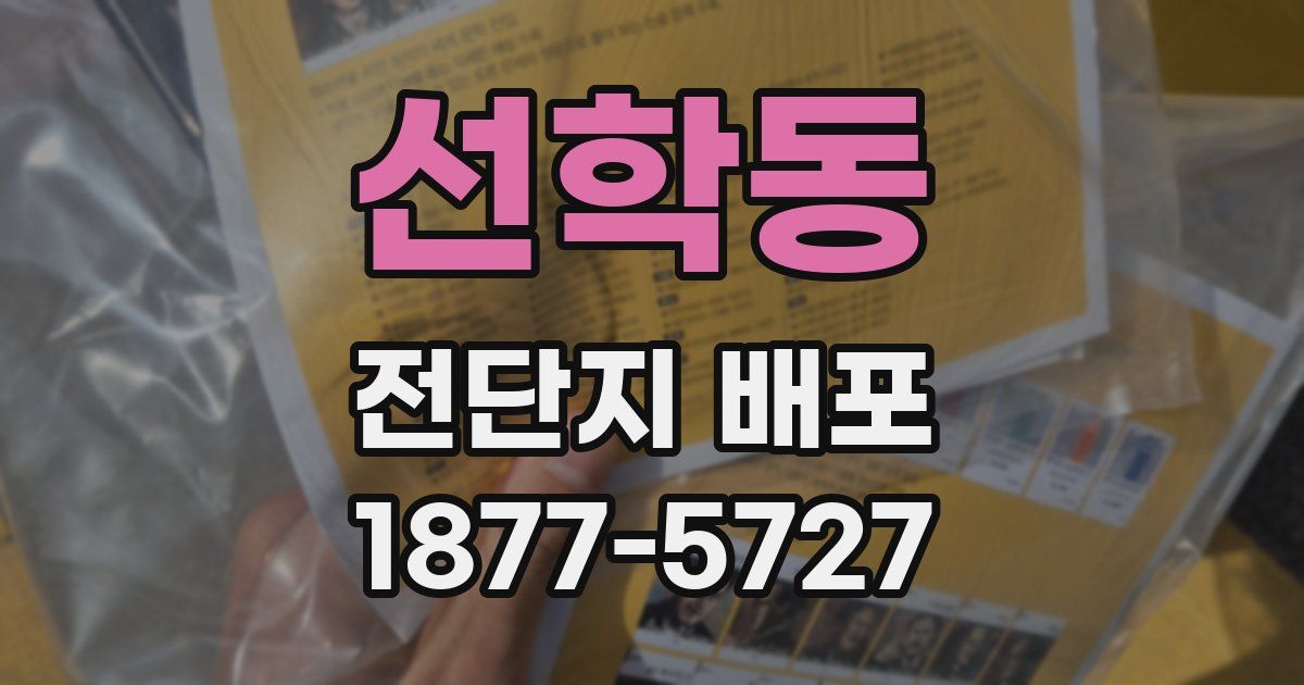 선학동 전단지 배포