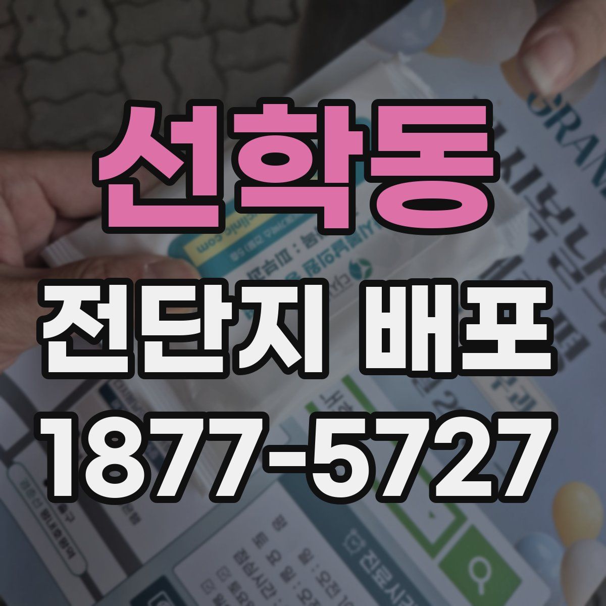 선학동 전단지 배포