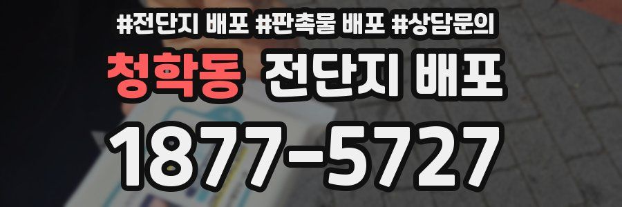청학동 전단지 배포