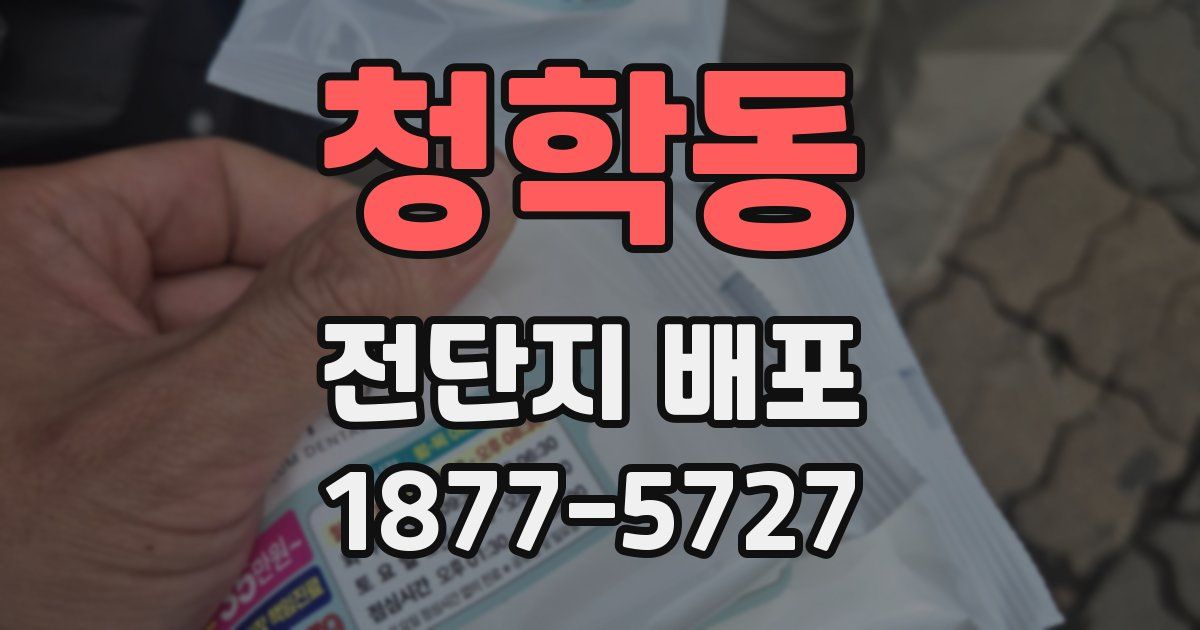 청학동 전단지 배포