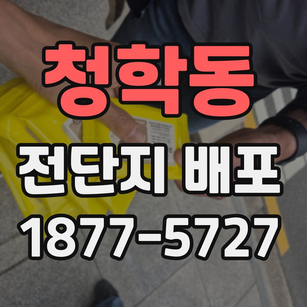 청학동 전단지 배포