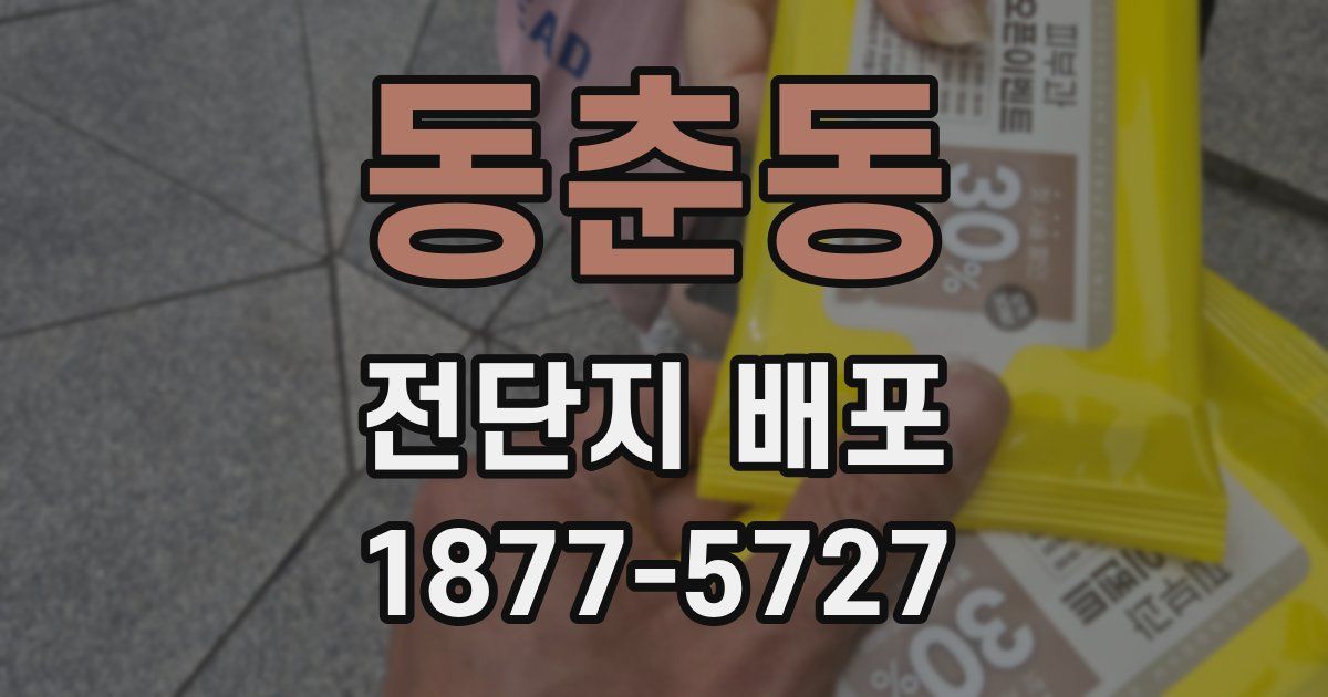 동춘동 전단지 배포