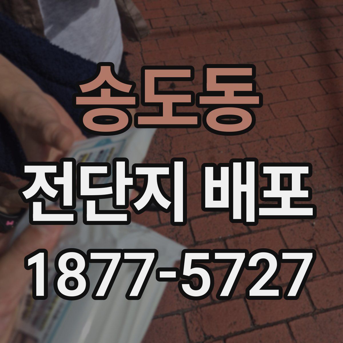 송도동 전단지 배포