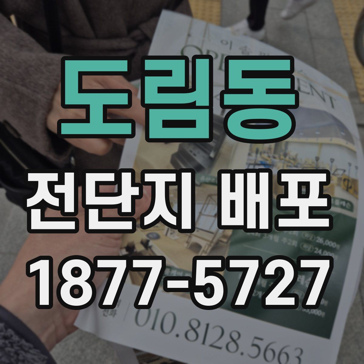 도림동 전단지 배포