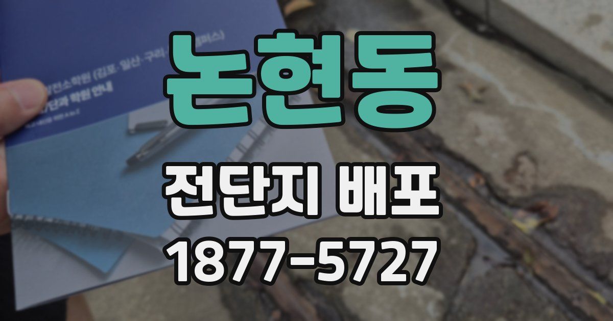 논현동 전단지 배포