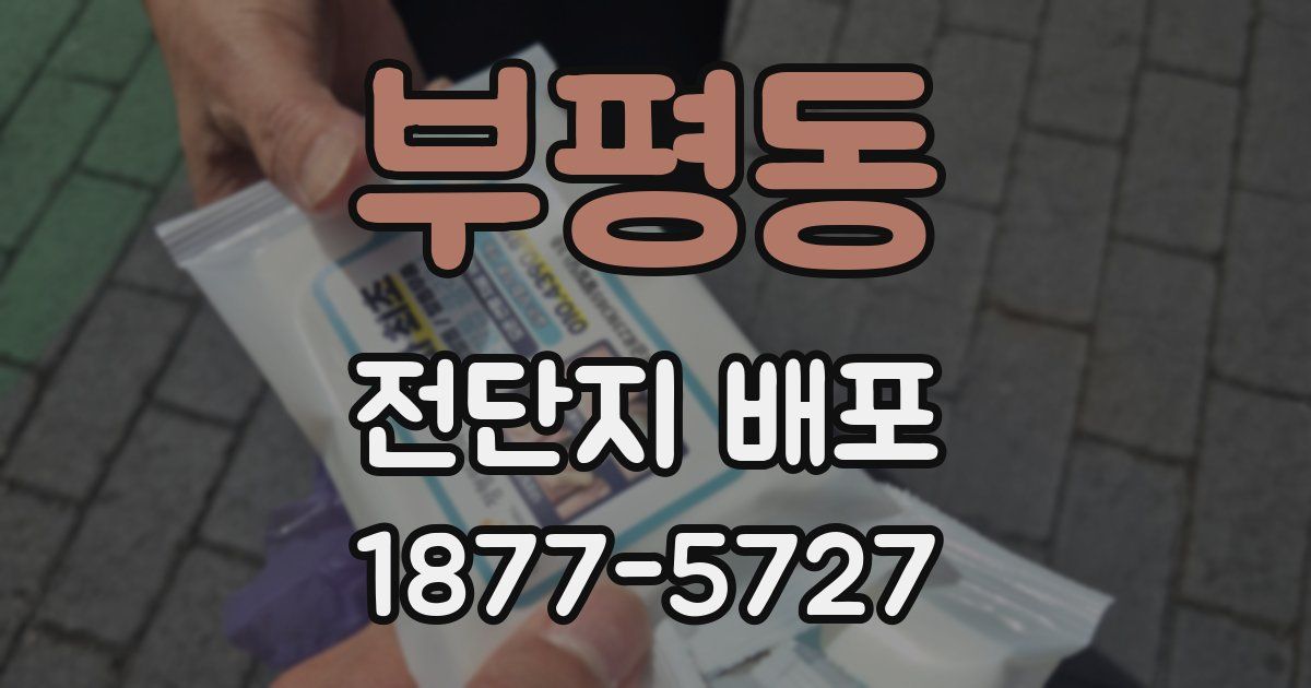 부평동 전단지 배포