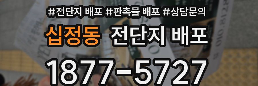 십정동 전단지 배포
