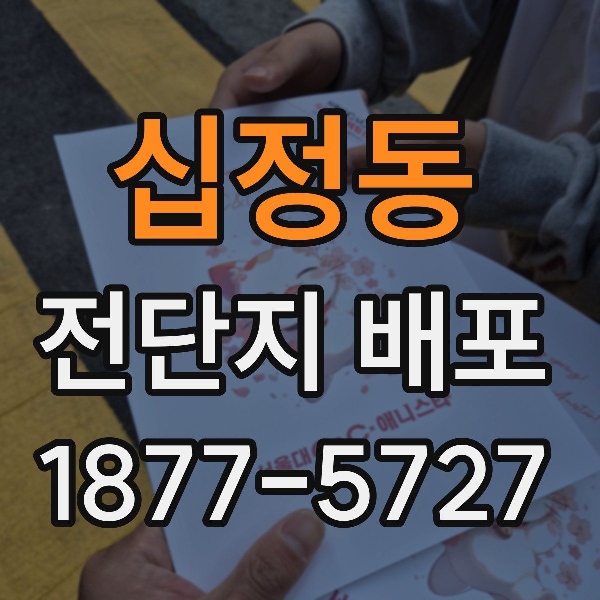 십정동 전단지 배포