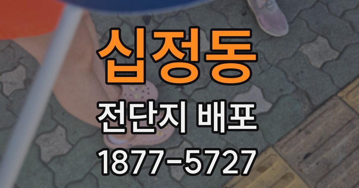 십정동 전단지 배포