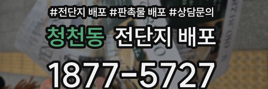 청천동 전단지 배포
