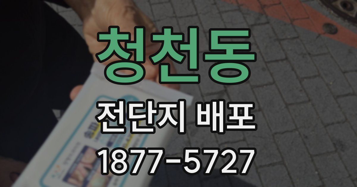 청천동 전단지 배포