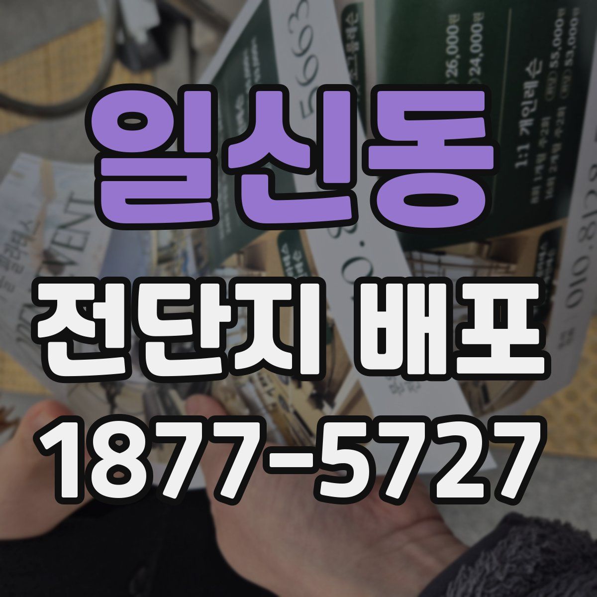 일신동 전단지 배포