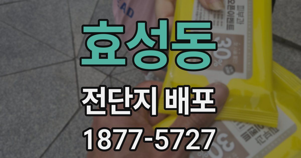 효성동 전단지 배포
