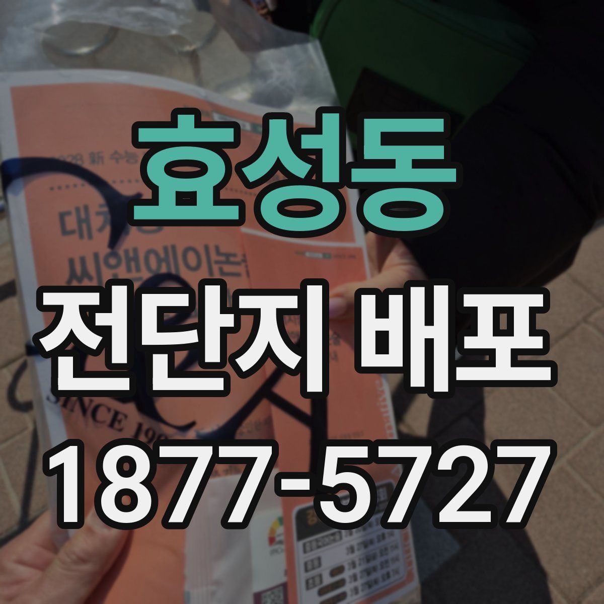 효성동 전단지 배포
