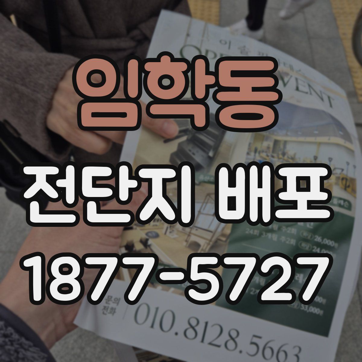임학동 전단지 배포
