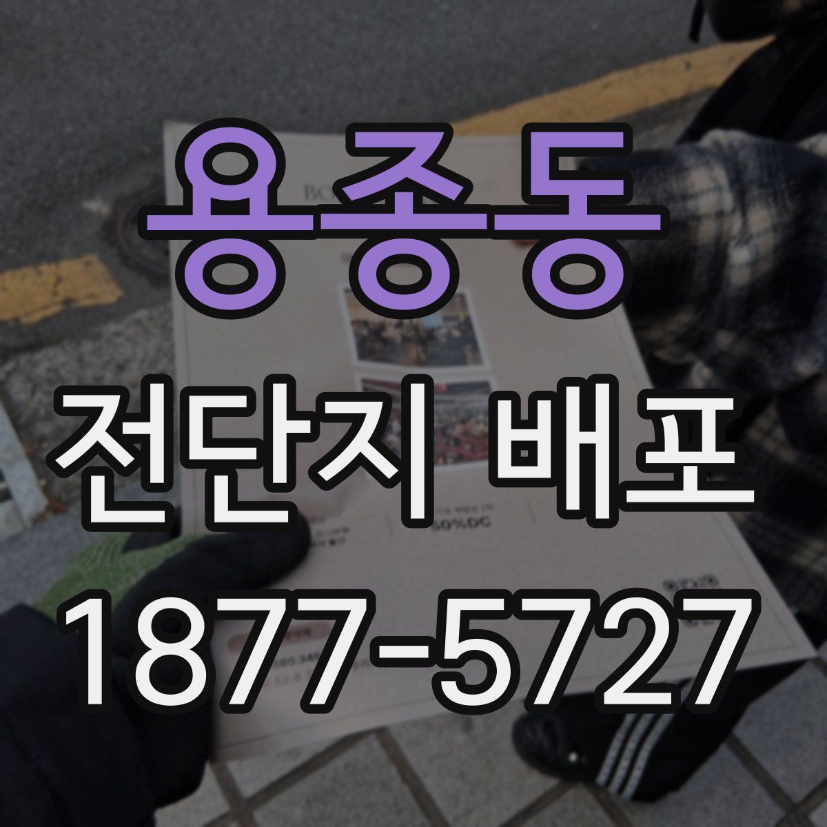 용종동 전단지 배포
