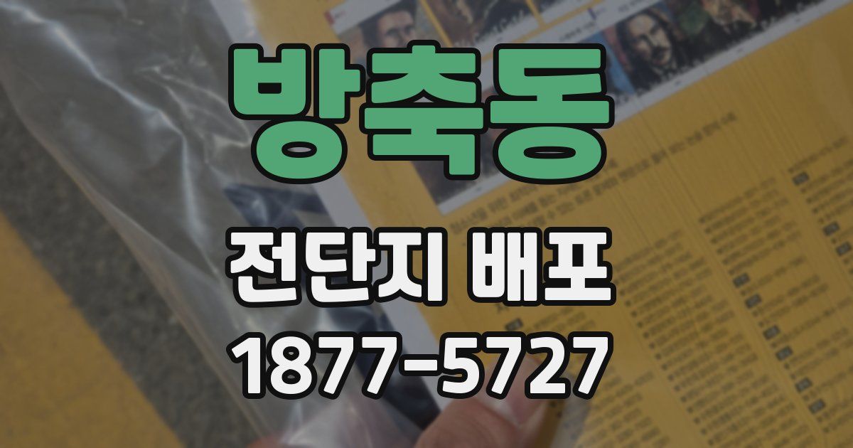 방축동 전단지 배포
