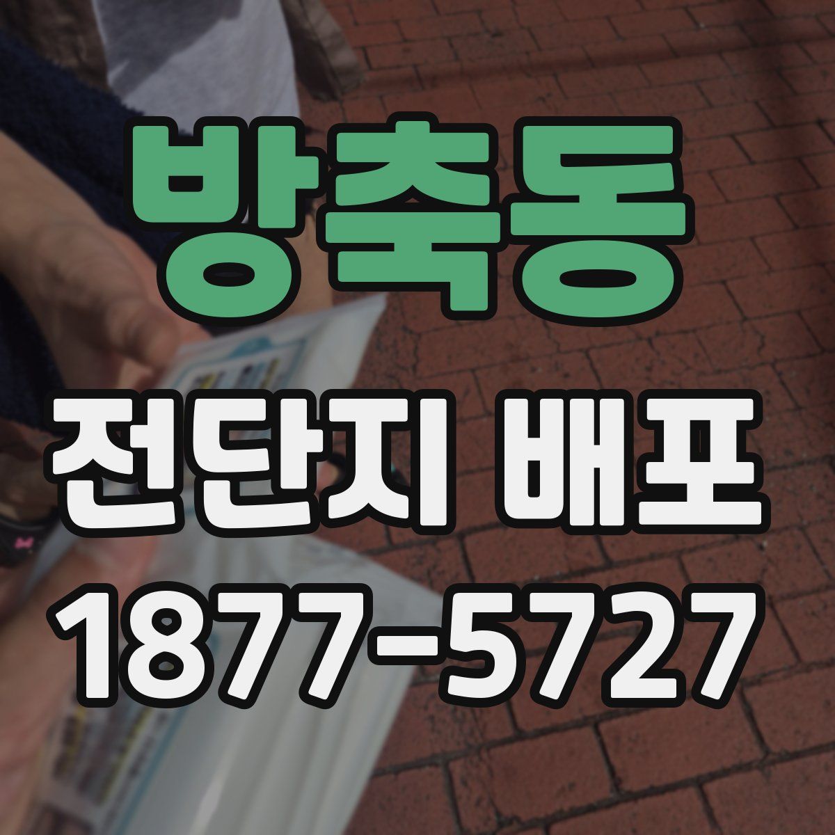 방축동 전단지 배포