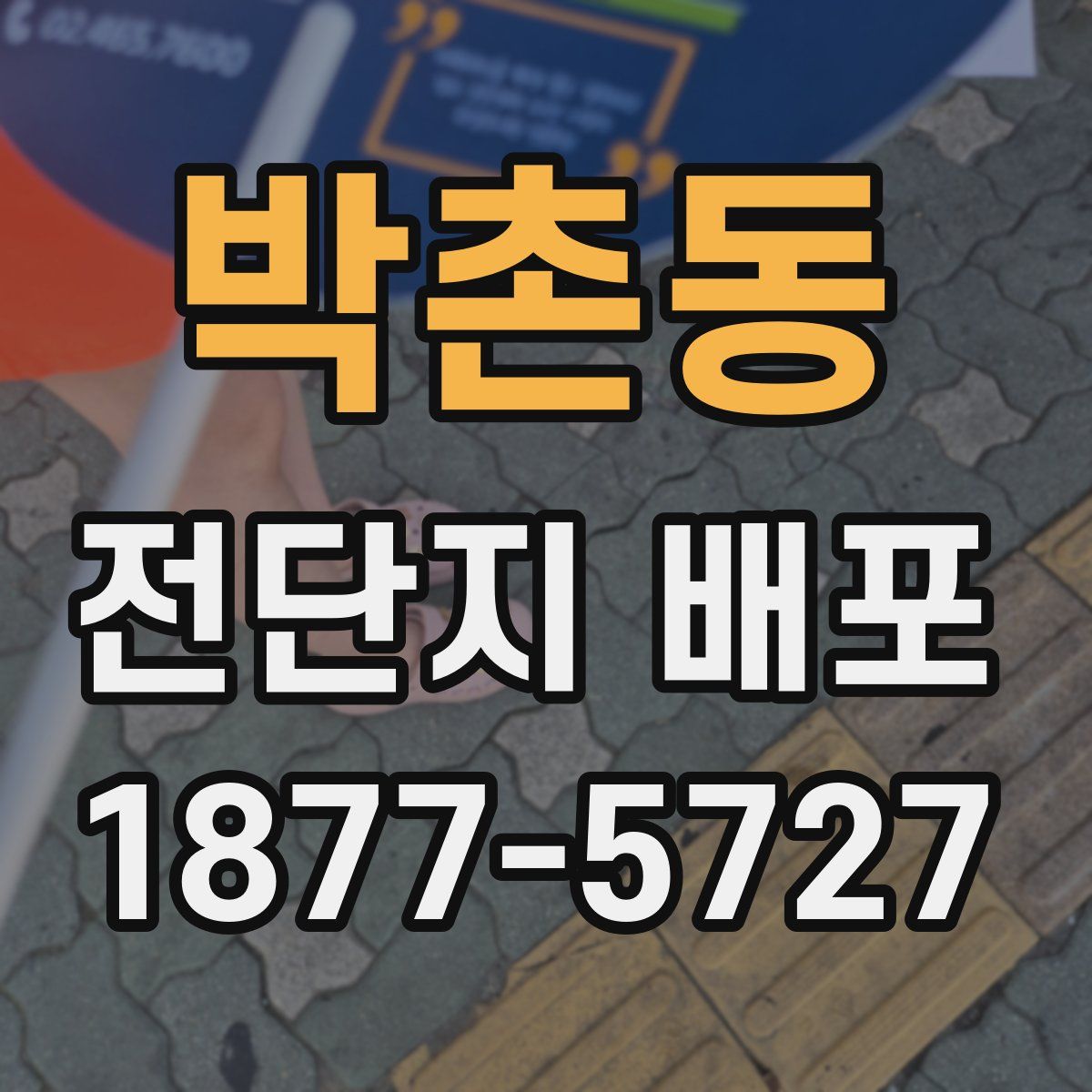 박촌동 전단지 배포