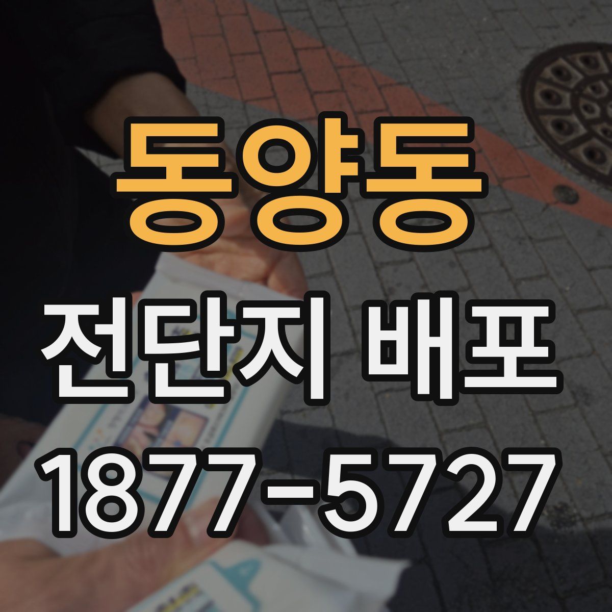 동양동 전단지 배포