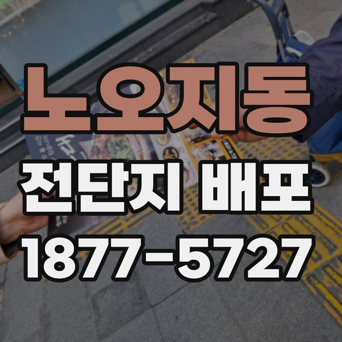 노오지동 전단지 배포