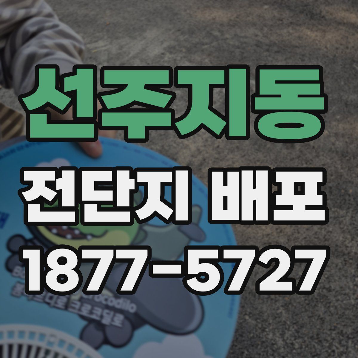 선주지동 전단지 배포