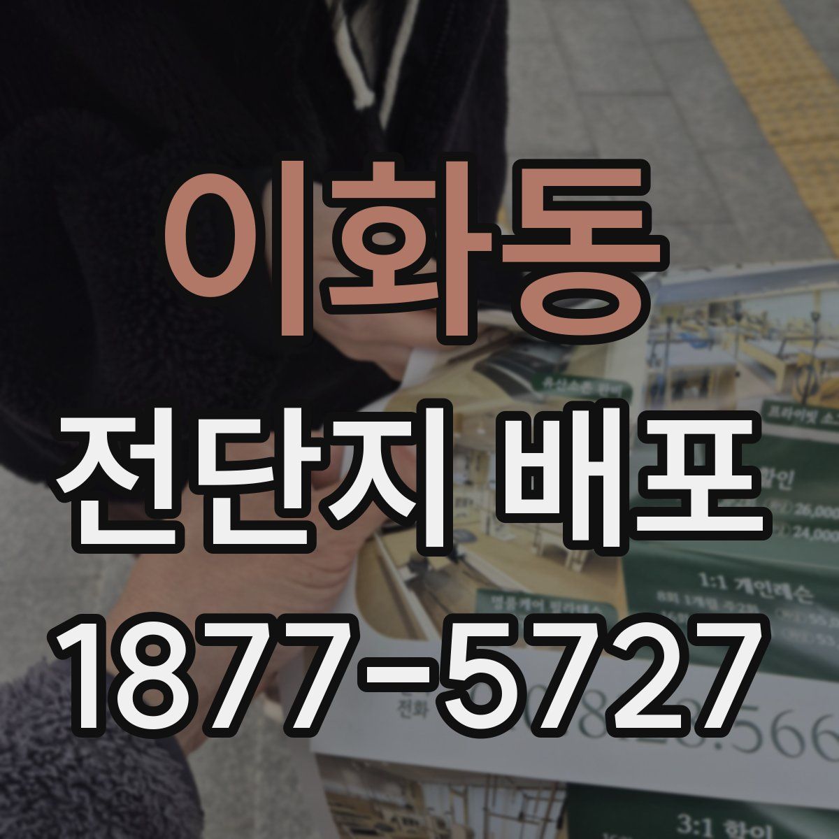 이화동 전단지 배포